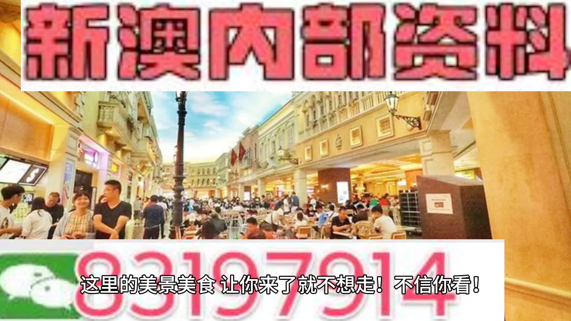 新澳门天天免费精准,精选解析、解释与落实